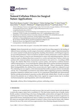 Natural Cellulose Fibers for Surgical Suture Applications