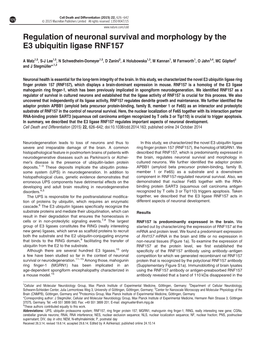 Regulation of Neuronal Survival and Morphology by the E3 Ubiquitin Ligase RNF157