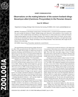 Observations on the Mating Behavior of the Eastern Lowland Olingo Bassaricyon Alleni (Carnivora: Procyonidae) in the Peruvian Amazon