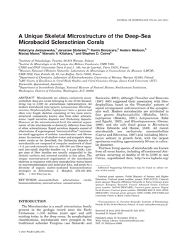 A Unique Skeletal Microstructure of the Deepsea Micrabaciid Scleractinian