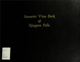 Souvenir View Book of Niagara Falls.