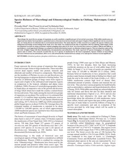 Species Richness of Macrofungi and Ethnomycological Studies In