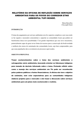 Relatório Da Oficina De Reflexão Sobre Serviços Ambientais Para Os Povos Do Corredor Etno Ambiental Tupi Mondé