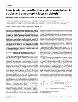 How Is Edaravone Effective Against Acute Ischemic Stroke And