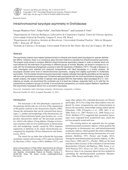 Intrachromosomal Karyotype Asymmetry in Orchidaceae