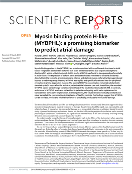 Myosin Binding Protein H-Like (MYBPHL): a Promising Biomarker