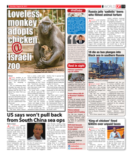Loveless Monkey Adopts Chicken Israeli