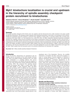 Mph1 Kinetochore Localization Is Crucial and Upstream in The