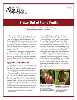 Brown Rot of Stone Fruits