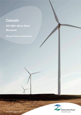 Cobadin 50 MW Wind Park Romania