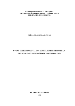 Universidade Federal De Viçosa Centro De Ciências Humanas, Letras E Artes Departamento De Direito