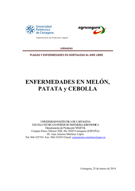 ENFERMEDADES EN MELÓN, PATATA Y CEBOLLA