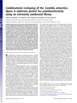 Combinatorial Reshaping of the Candida Antarctica Lipase a Substrate Pocket for Enantioselectivity Using an Extremely Condensed Library