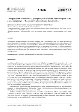 Two Species of Gracillariidae (Lepidoptera) New to China, and Description of the Pupal Morphology of the Genera Corythoxestis and Eumetriochroa