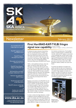 Newsletter February 2011