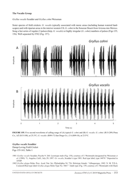 The Vocalis Group Gryllus Vocalis Scudder