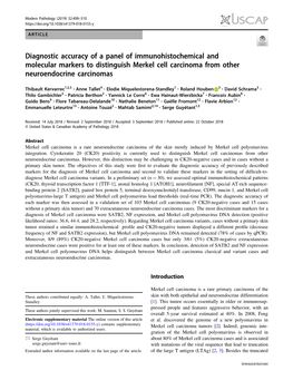 Diagnostic Accuracy of a Panel of Immunohistochemical and Molecular Markers to Distinguish Merkel Cell Carcinoma from Other Neuroendocrine Carcinomas