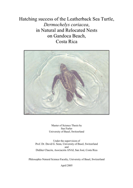 Hatching Success of the Leatherback Sea Turtle, Dermochelys Coriacea, in Natural and Relocated Nests on Gandoca Beach, Costa Rica