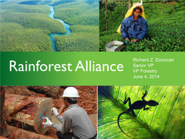 Rainforest Alliance VP Forestry June 4, 2014