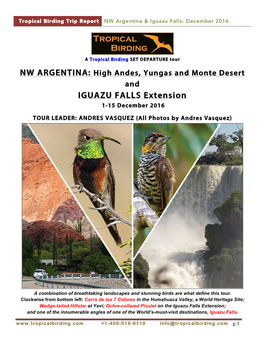 IGUAZU FALLS Extension 1-15 December 2016