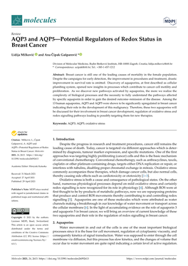 AQP3 and AQP5—Potential Regulators of Redox Status in Breast Cancer