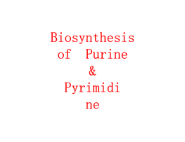 Purine and Pyrimidine Biosynthesis