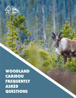 Woodland Caribou Frequently Asked Questions