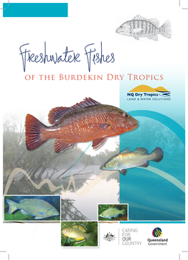 Freshwater Fishes of the Burdekin Dry Tropics Acknowledgements