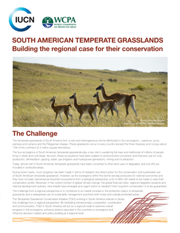 SOUTH AMERICAN TEMPERATE GRASSLANDS Building the Regional Case for Their Conservation