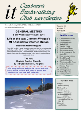 It-Sample-Newsletter