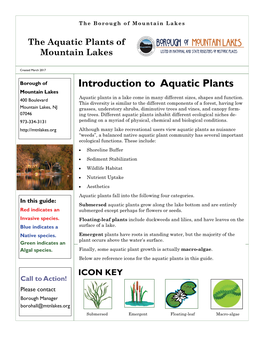 Introduction to Aquatic Plants Mountain Lakes Aquatic Plants in a Lake Come in Many Different Sizes, Shapes and Function