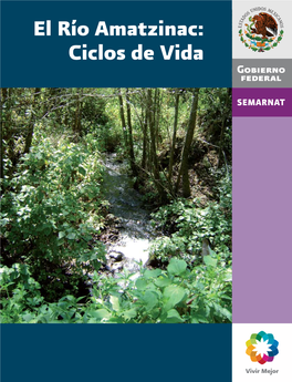 El Río Amatzinac: Ciclos De Vida El Río Amatzinac: Ciclos De Vida