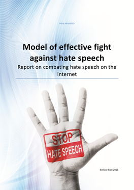 Model of Effective Fight Against Hate Speech Report on Combating Hate Speech on the Internet