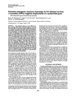 Extensive Intragenic Sequence Homology in Two Distinct Rat Lens Y