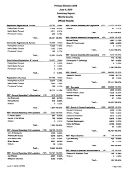 2019 Primary Election Summary Report