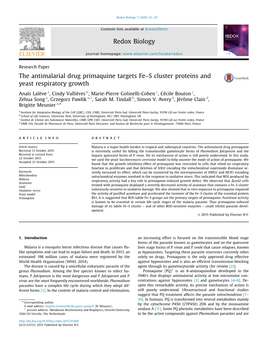 Redox Biology 7 (2016) 21–29