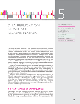 DNA REPLICATION, REPAIR, and RECOMBINATION Figure 5–1 Different Proteins Evolve at Very Different Rates