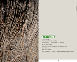 Livre Des Arbres Remarquables