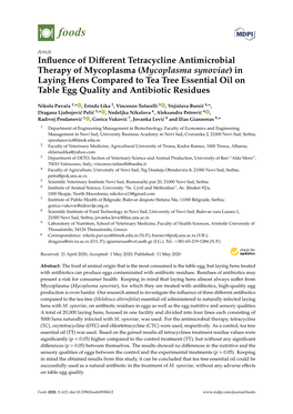 (Mycoplasma Synoviae) in Laying Hens Compared to Tea Tree Essential Oil on Table Egg Quality and Antibiotic Residues