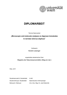 Diplomarbeit