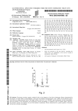 I WO 2015/019381 Al Fig. 2