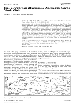 Exine Morphology and Ultrastructure of Duplicisporites from the Triassic of Italy