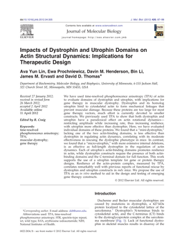 Impacts of Dystrophin and Utrophin Domains on Actin Structural Dynamics: Implications for Therapeutic Design