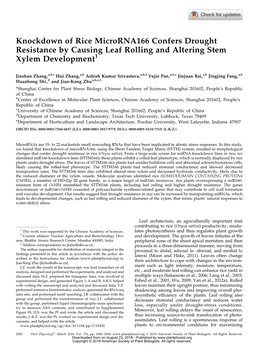 Knockdown of Rice Microrna166 Confers Drought Resistance by Causing Leaf Rolling and Altering Stem Xylem Development1