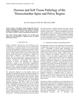 Osseous and Soft Tissue Pathology of the Thoracolumbar Spine and Pelvic Region