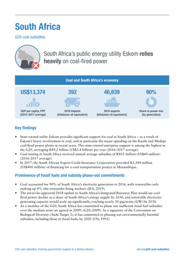 South Africa G20 Coal Subsidies