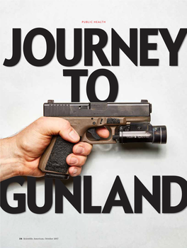 Journey to Gunland