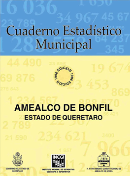 Amealco De Bonfil Estado De Querétaro