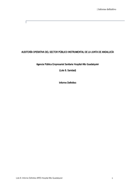 Informe De Auditoría Operativa De La Agencia Pública Empresarial