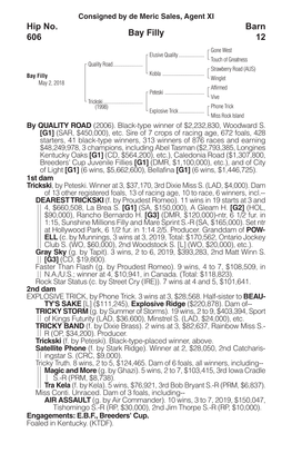 Bay Filly Barn 12 Hip No